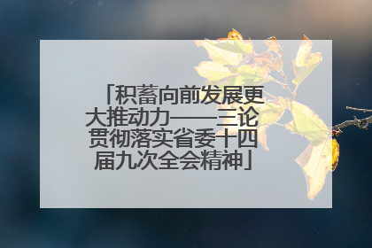 积蓄向前发展更大推动力——三论贯彻落实省委十四届九次全会精神