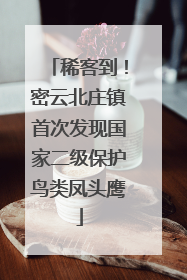 稀客到！密云北庄镇首次发现国家二级保护鸟类凤头鹰
