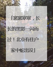 窸窸窣窣，长长的黑影一闪而过！北京有住户家中蛇出没