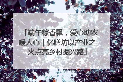 端午粽香飘，爱心助农暖人心｜亿膳坊以产业之火点亮乡村振兴路