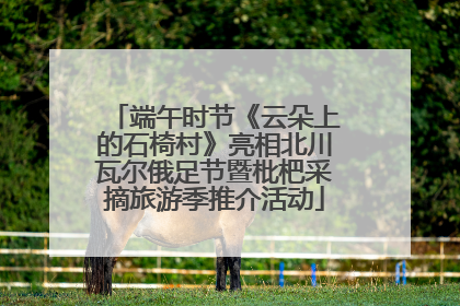 端午时节《云朵上的石椅村》亮相北川瓦尔俄足节暨枇杷采摘旅游季推介活动