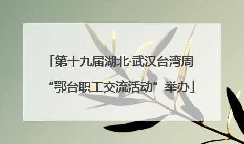 第十九届湖北·武汉台湾周“鄂台职工交流活动”举办