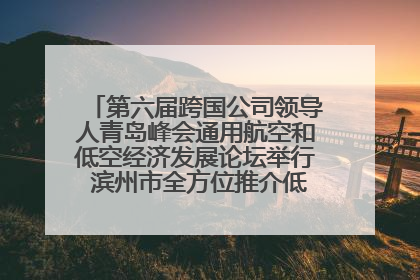 第六届跨国公司领导人青岛峰会通用航空和低空经济发展论坛举行 滨州市全方位推介低空经济发展优势