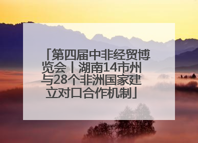 第四届中非经贸博览会丨湖南14市州与28个非洲国家建立对口合作机制