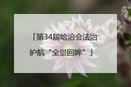 第34届哈洽会法治护航“全景回眸”