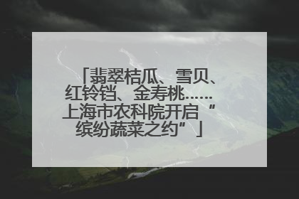 翡翠桔瓜、雪贝、红铃铛、金寿桃……上海市农科院开启“缤纷蔬菜之约”