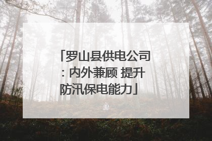罗山县供电公司：内外兼顾 提升防汛保电能力