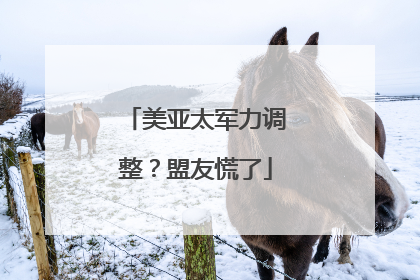 美亚太军力调整？盟友慌了