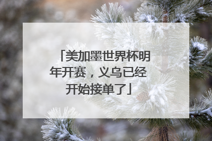 美加墨世界杯明年开赛，义乌已经开始接单了