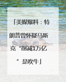 美媒爆料：特朗普曾怀疑马斯克“削减1万亿”是吹牛