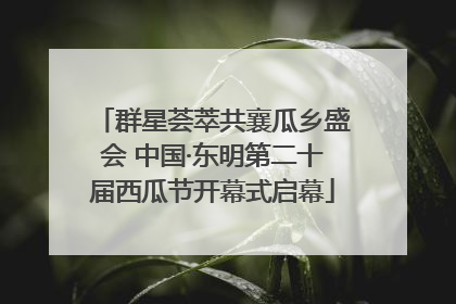 群星荟萃共襄瓜乡盛会 中国·东明第二十届西瓜节开幕式启幕
