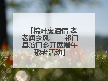 粽叶裹温情 孝老润乡风——祁门县溶口乡开展端午敬老活动