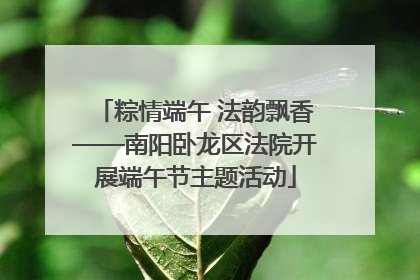 粽情端午 法韵飘香——南阳卧龙区法院开展端午节主题活动