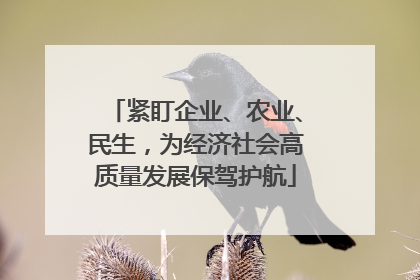 紧盯企业、农业、民生，为经济社会高质量发展保驾护航