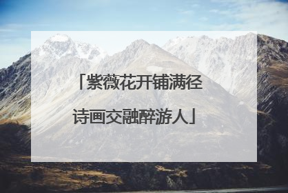紫薇花开铺满径 诗画交融醉游人
