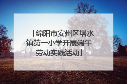 绵阳市安州区塔水镇第一小学开展端午劳动实践活动