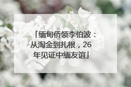 缅甸侨领李伯波：从淘金到扎根，26年见证中缅友谊