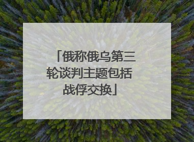 俄称俄乌第三轮谈判主题包括战俘交换