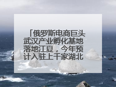 俄罗斯电商巨头武汉产业孵化基地落地江夏，今年预计入驻上千家湖北跨境卖家