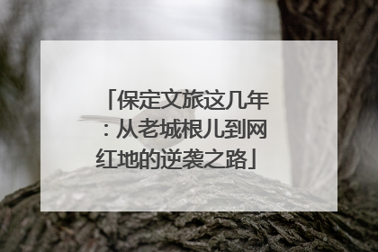 保定文旅这几年：从老城根儿到网红地的逆袭之路