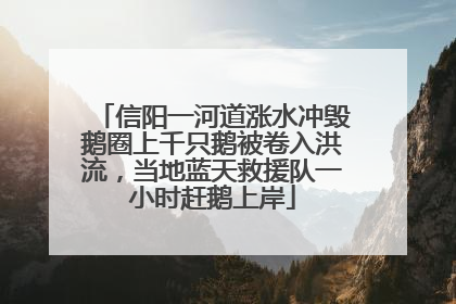 信阳一河道涨水冲毁鹅圈上千只鹅被卷入洪流，当地蓝天救援队一小时赶鹅上岸