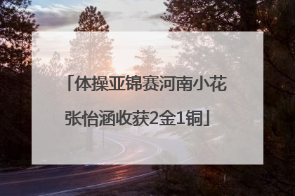 体操亚锦赛河南小花张怡涵收获2金1铜