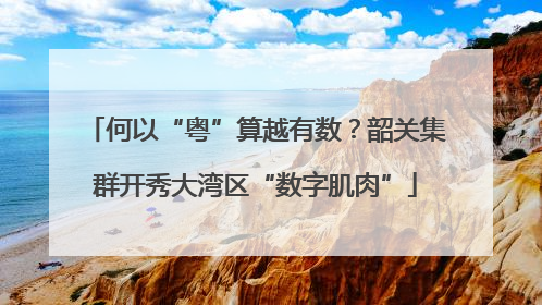 何以“粤”算越有数？韶关集群开秀大湾区“数字肌肉”