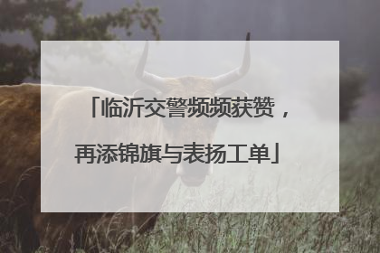 临沂交警频频获赞，再添锦旗与表扬工单