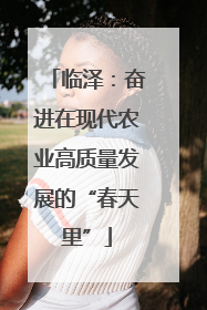 临泽：奋进在现代农业高质量发展的“春天里”