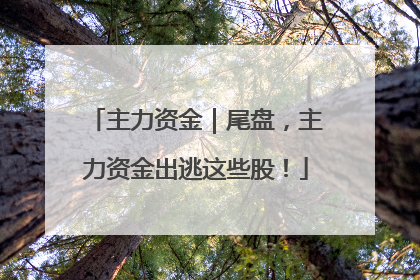 主力资金｜尾盘，主力资金出逃这些股！