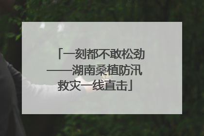 一刻都不敢松劲——湖南桑植防汛救灾一线直击