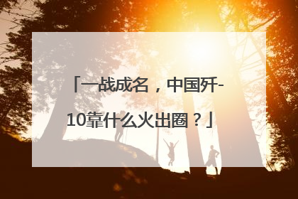 一战成名，中国歼-10靠什么火出圈？