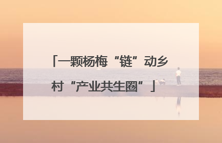 一颗杨梅“链”动乡村“产业共生圈”