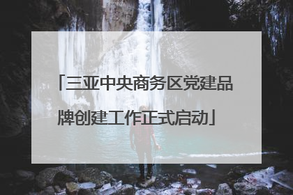 三亚中央商务区党建品牌创建工作正式启动
