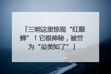 三明这里惊现“红眼蝉”！它很神秘，被誉为“最美知了”