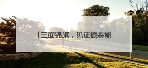 三面锦旗，见证振森能源的“非凡合作”！