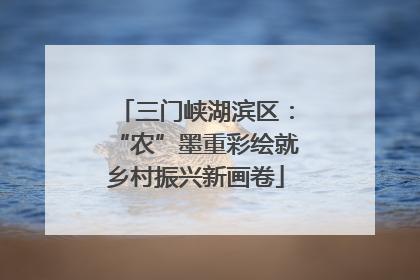 三门峡湖滨区：“农”墨重彩绘就乡村振兴新画卷
