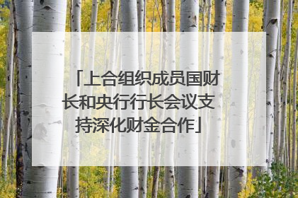 上合组织成员国财长和央行行长会议支持深化财金合作