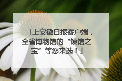 上安徽日报客户端，全省博物馆的“镇馆之宝”等您来选！