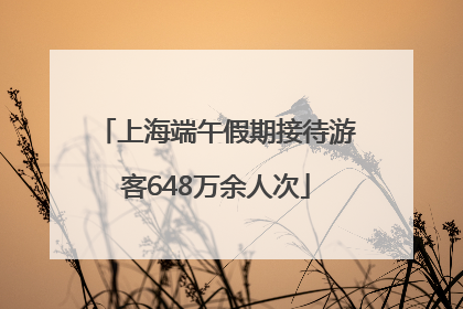 上海端午假期接待游客648万余人次