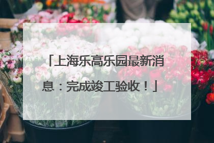 上海乐高乐园最新消息：完成竣工验收！