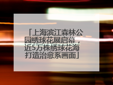 上海滨江森林公园绣球花展启幕，近5万株绣球花海打造治愈系画面