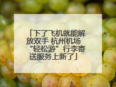 下了飞机就能解放双手 杭州机场“轻松游”行李寄送服务上新了