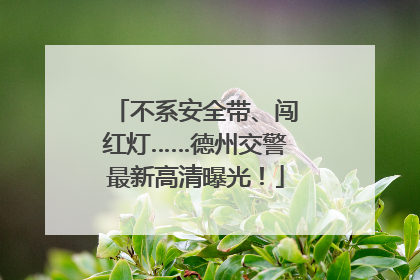 不系安全带、闯红灯……德州交警最新高清曝光！