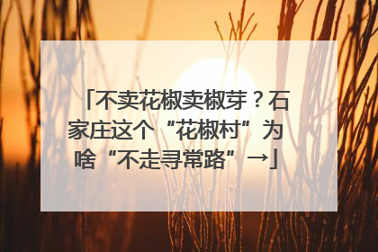 不卖花椒卖椒芽？石家庄这个“花椒村”为啥“不走寻常路”→