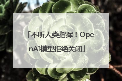 不听人类指挥！OpenAI模型拒绝关闭