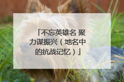 不忘英雄名 聚力谋振兴（地名中的抗战记忆）