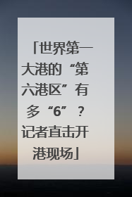 世界第一大港的“第六港区”有多“6”？记者直击开港现场