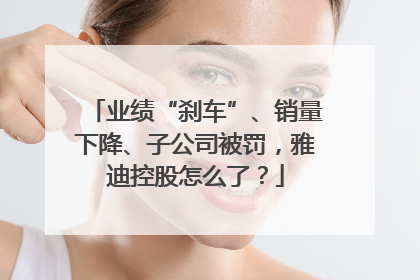 业绩“刹车”、销量下降、子公司被罚，雅迪控股怎么了？