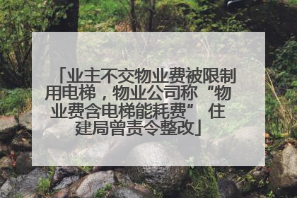 业主不交物业费被限制用电梯，物业公司称“物业费含电梯能耗费” 住建局曾责令整改